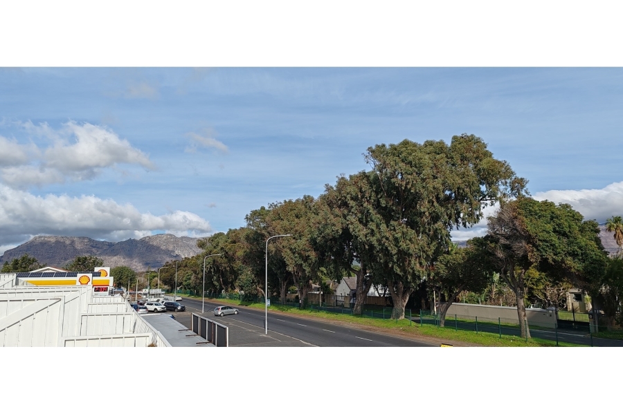 1 Bedroom Property for Sale in Heathfield Western Cape
